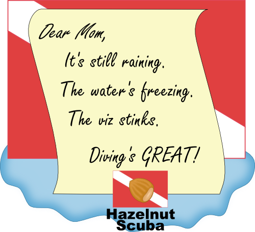 HazelnutScuba-Shirt-001-00--500x456.jpg